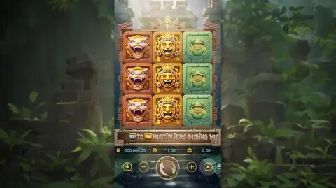 55 bet app 