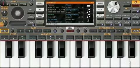 big bass bonanza vs splash 