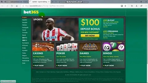 estrela bet quando foi criado 