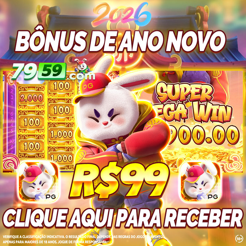 plataforma de bingo online 