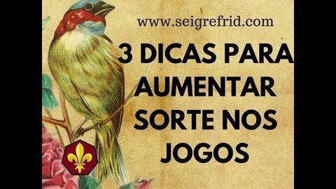 qual horário pagante do tigre hoje 